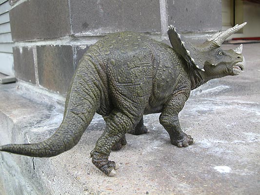 Triceratops Modell
